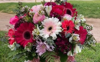 Florería Carola Salinas Rojas