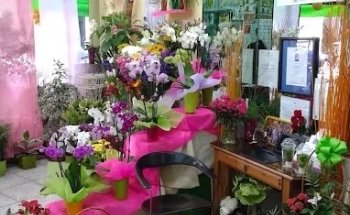 Lufesa Floristas