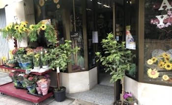 FLOR DE LA ALCARRIA