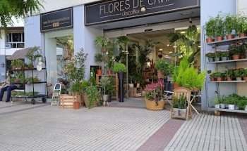 Flores de Cavia