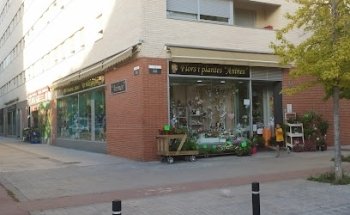 Floristeria Anines