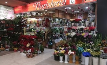 Flores Toñi