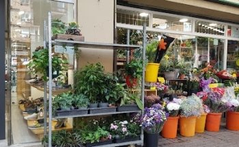 Floristeria París