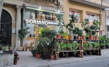 Floristeria Soriano