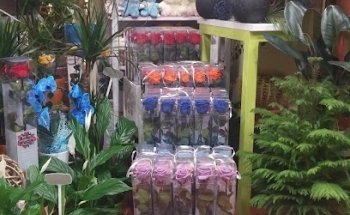 Floristería Carlos