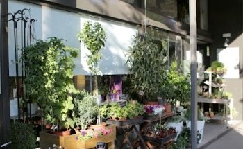 Ventura Floristes