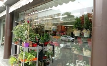 Floristería Caralt