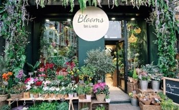 Floristería Blooms