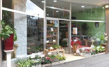 FLORISTERÍA AVI-FLOR Bilbao