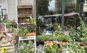 Floristería Ogima