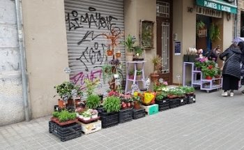 La Patapouf