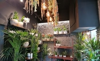 Floristeria NUNE