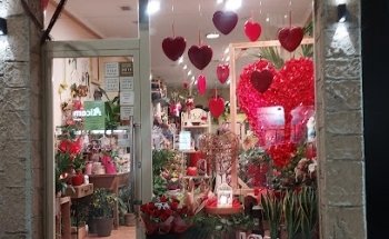 Floristería Bambú