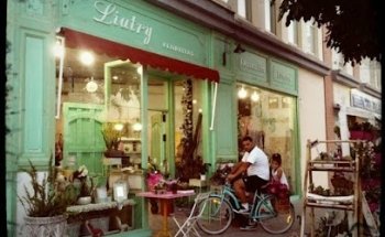 Liatry Floristas