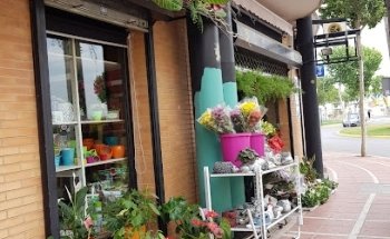Floristería Aralia
