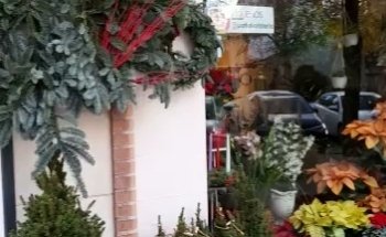 Patio Florist