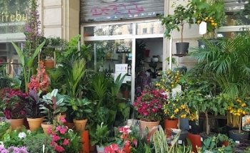 Floristeria Maria