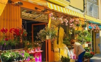 martamajó FLORS