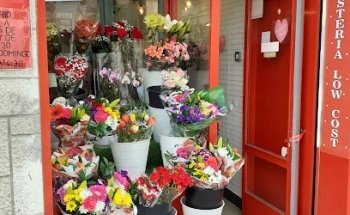 Olé Flowers