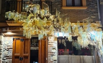Floristeria Flors Mundet
