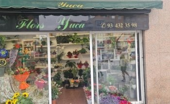 Flors Yuca