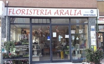 Floristería Aralia