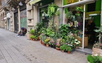 Floristeria Racó Verd