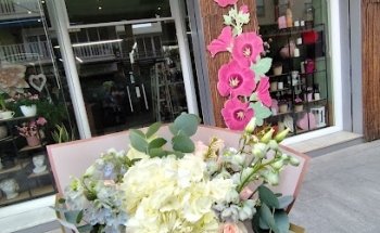 Malva Flowers