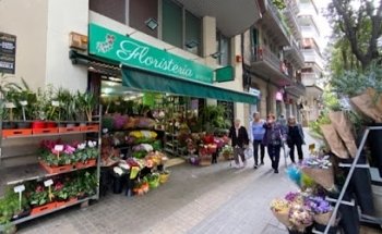 Bausà Flors al ses