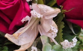 Interflora S.A.