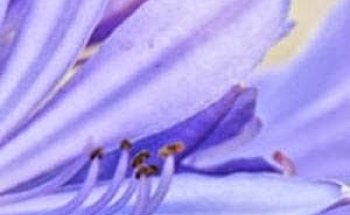 Floristería Taibo