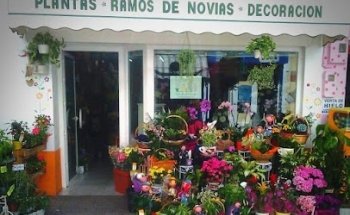 Floristería Edri