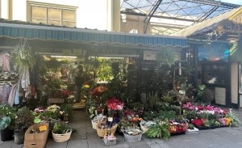 Floristería Neus