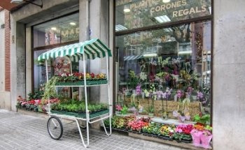 Floristeria Maria