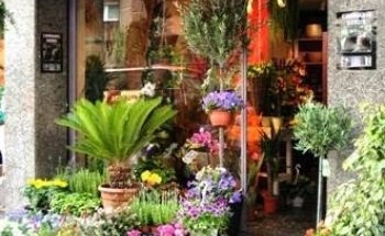 Jacaranda Florist