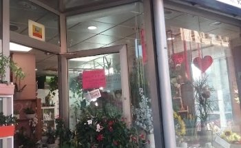 Corral Floristas