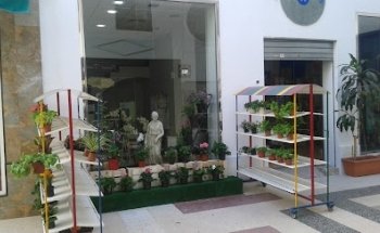 Graficflower | Flores a domicilio
