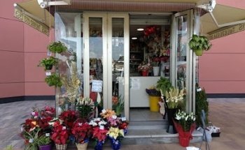 Floristería Iris