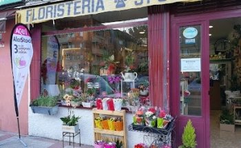 Floristería Bonsai