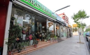 Floristería Miramar - Interflora