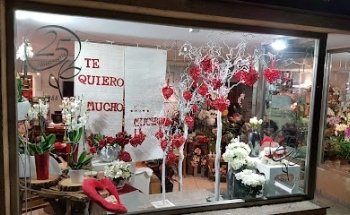 Floristería Alicia