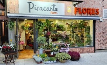 Piracanta Flores