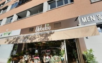 Floristeria MyBohio