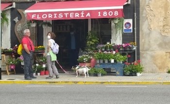 Floristeria 1808