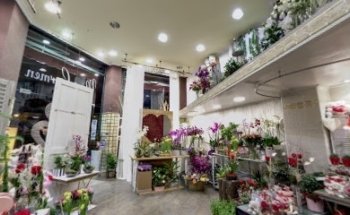 Floristería MARI CARMEN Errenteria
