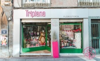 Floristería Tripiana