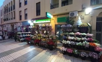 Floristería San Miguel