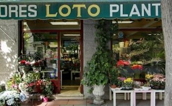 Flores Loto Argüelles