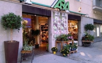 Floristeria Ara