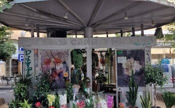 FLORS CARRİÓ